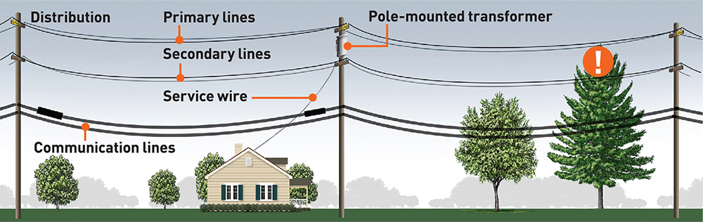 Uma imagem que apresenta vários tipos de linhas elétricas