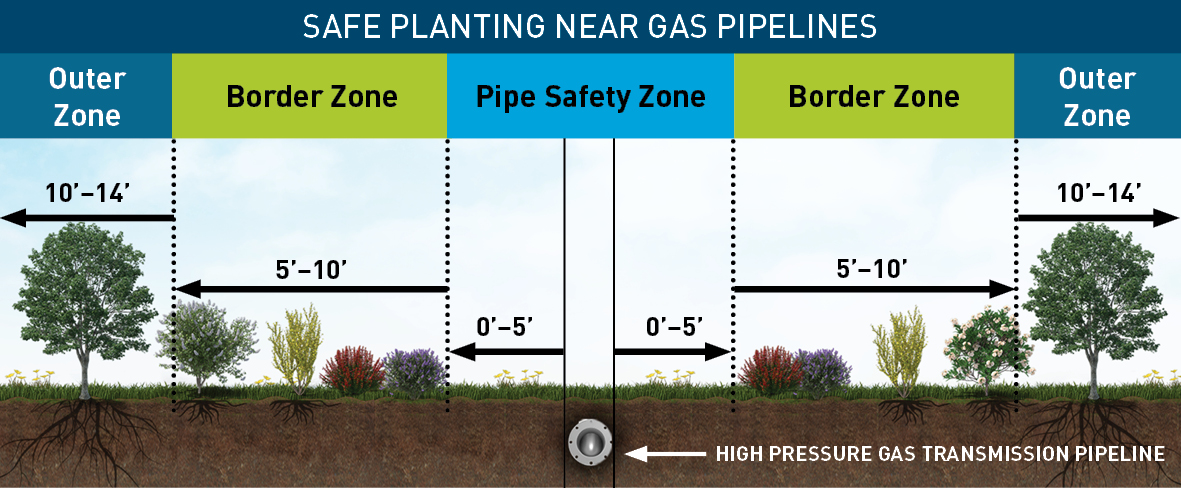 Safe planting near gas pipelines
