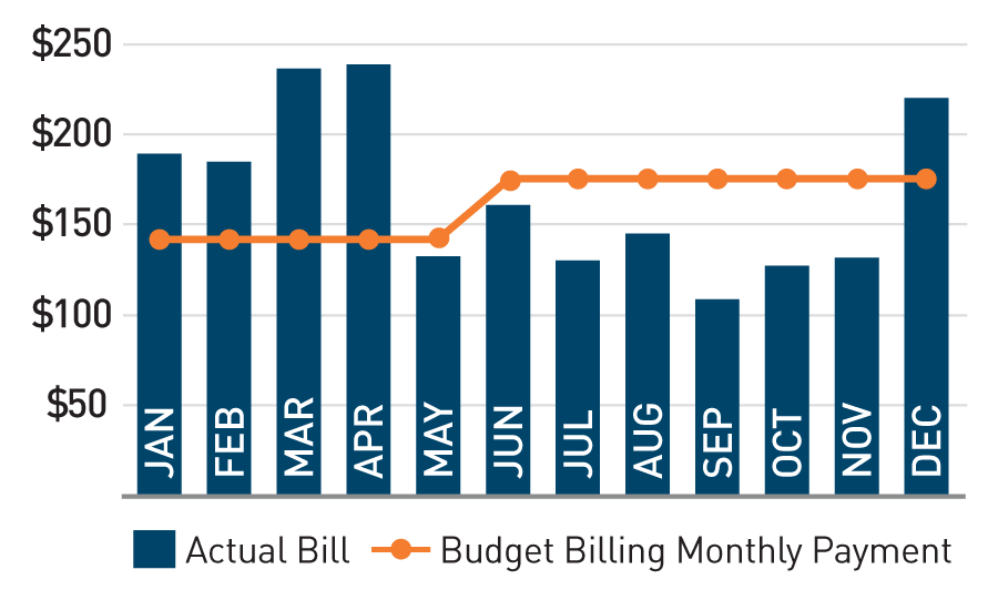 Гистограмма, показывающая ежемесячные платежи с Бюджетным биллингом