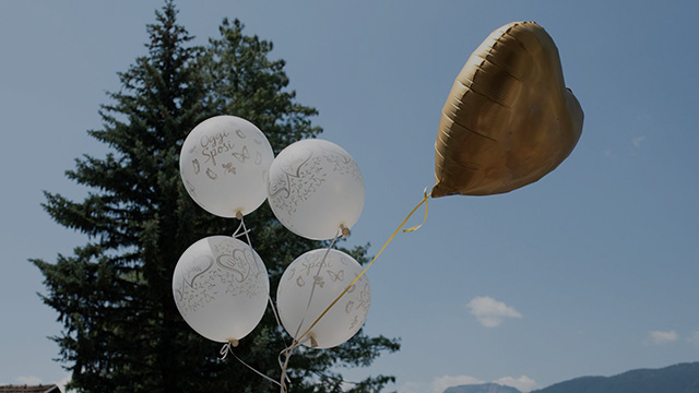 Balloons wave in the wind on a clear day in front of a pine tree.