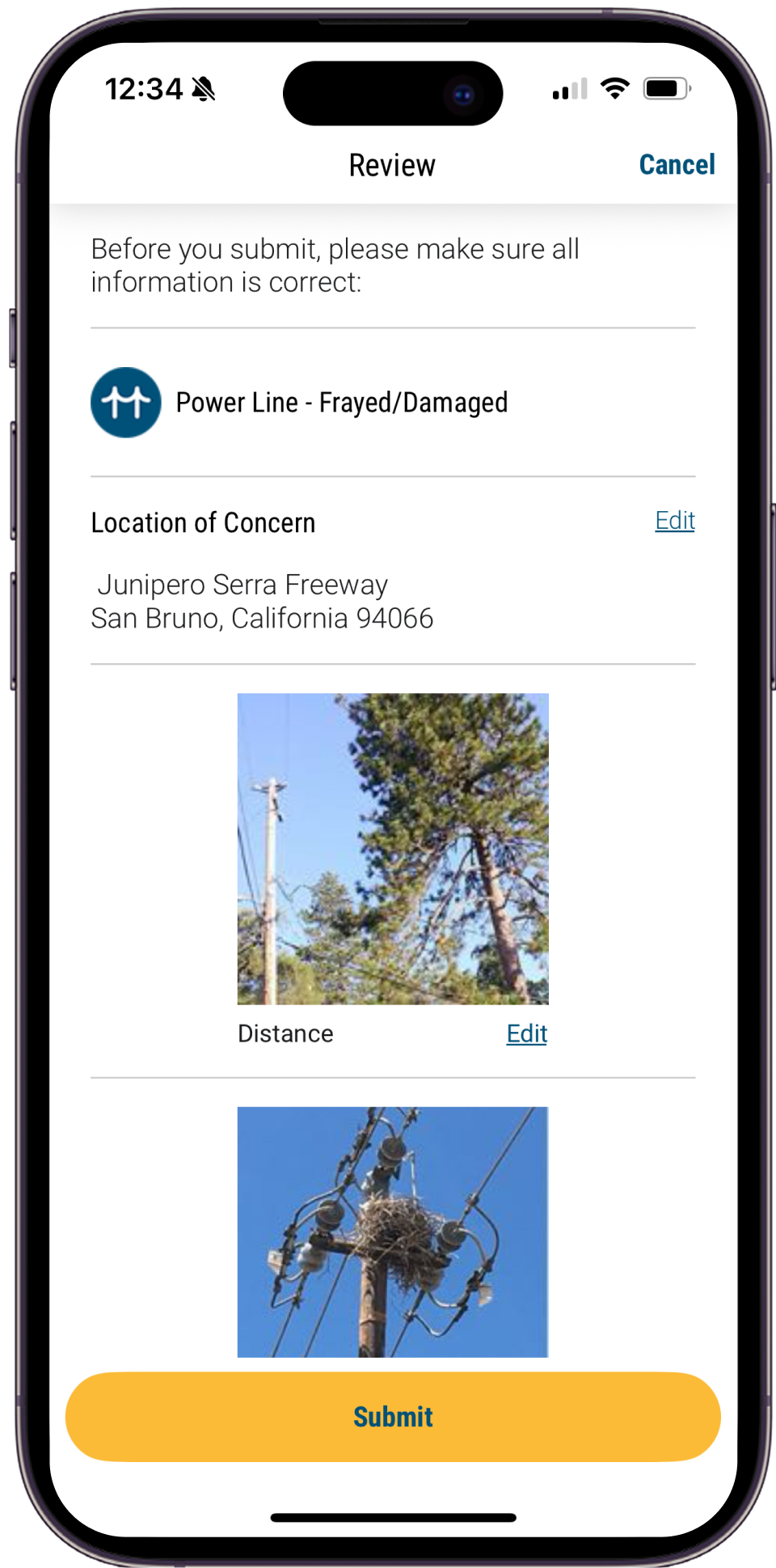 Mobile view of the Report It Apps Review and Submit screen.