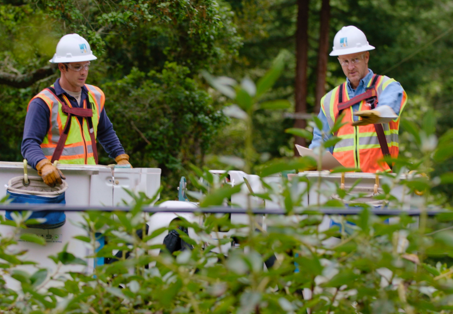 Vegetation management