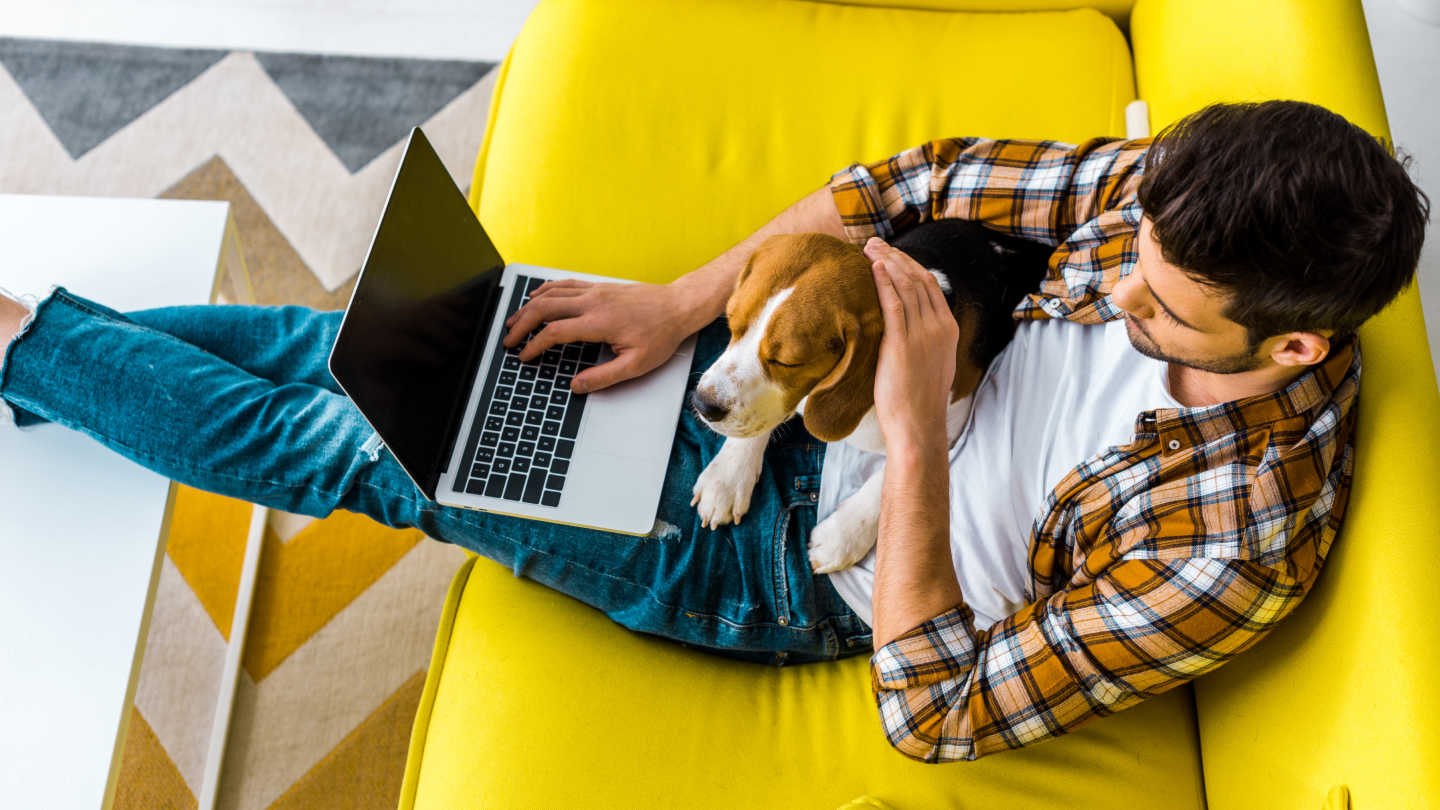Um homem está sentado num sofá amarelo com o seu cão de estimação e a usar o seu portátil.