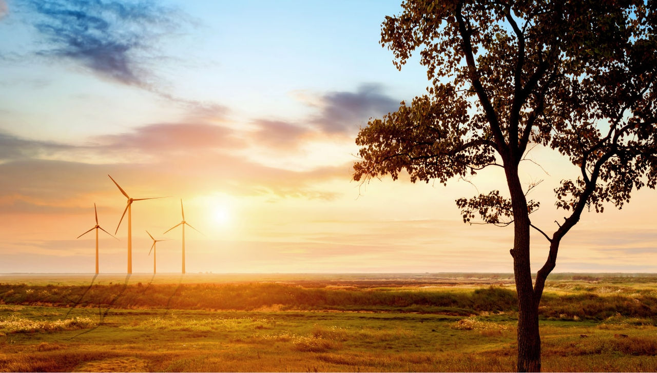 Sun setting behind wind mills