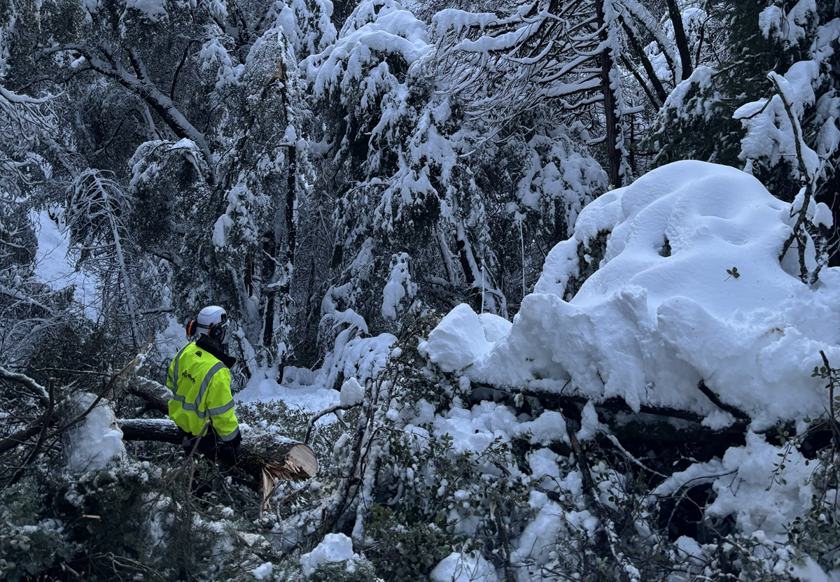 Deep Snow North Valley and Placerville