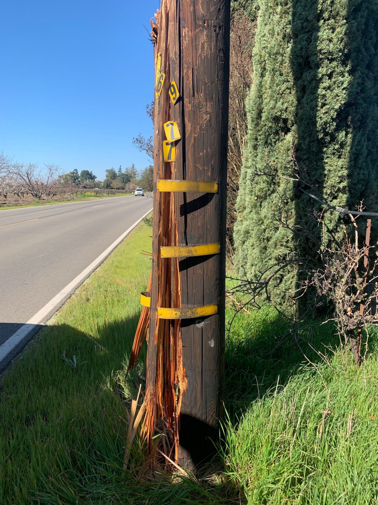 Pole that was hit by a car