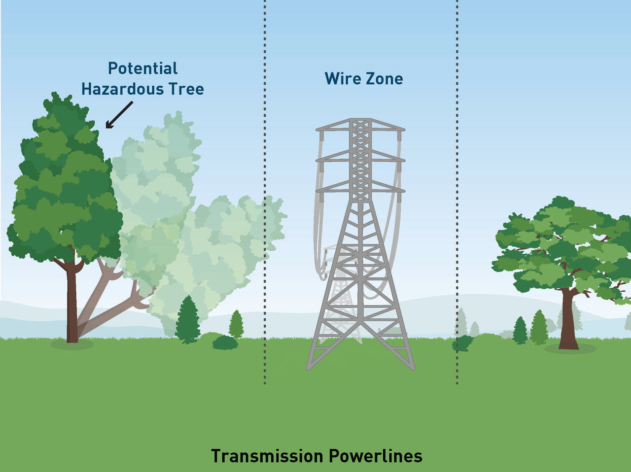 Illustrated graphic showing a transmission tower with the fall path of a potential hazardous tree.