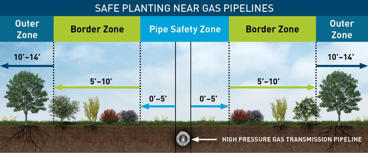 Safe planting guidelines near gas pipelines illustration