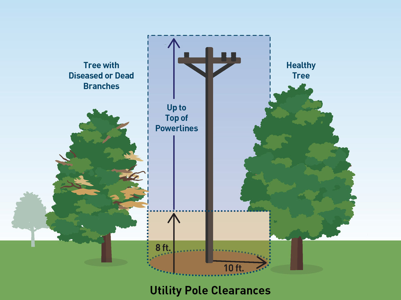 Illustrated graphic showing the vegetation clearance distances near utility poles.