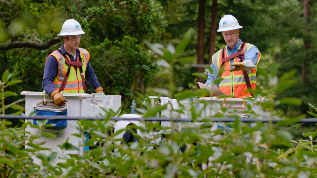Duas equipas da PG&E com capacetes a olhar para os membros da árvore perto de linhas elétricas.