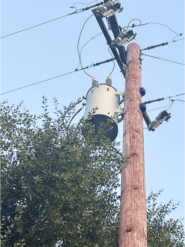 Tall and extended tree branches growing within 4 feet of Primary lines.