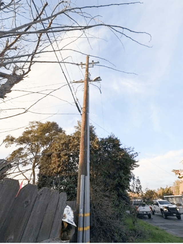 A new powerline with tree branches cleared and pole replaced.