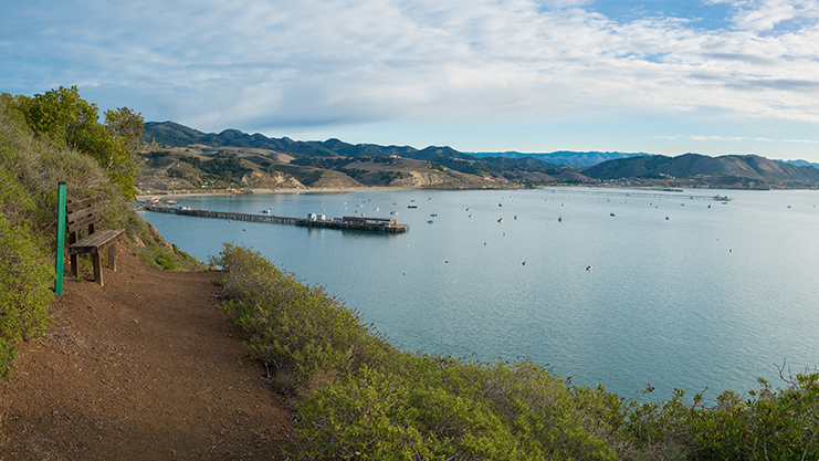 A hiking trail and a bench overlooking a body of water
