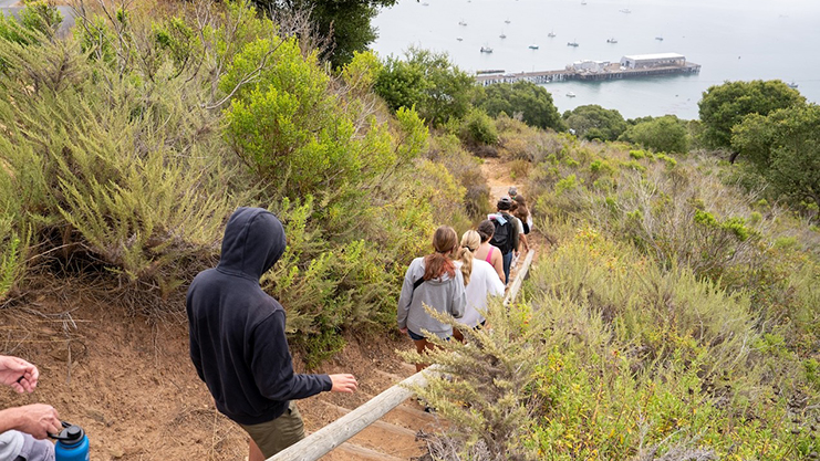 Hikers walking downhill on a trail